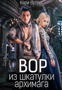 Книга « Вор из шкатулки архимага » - читать онлайн