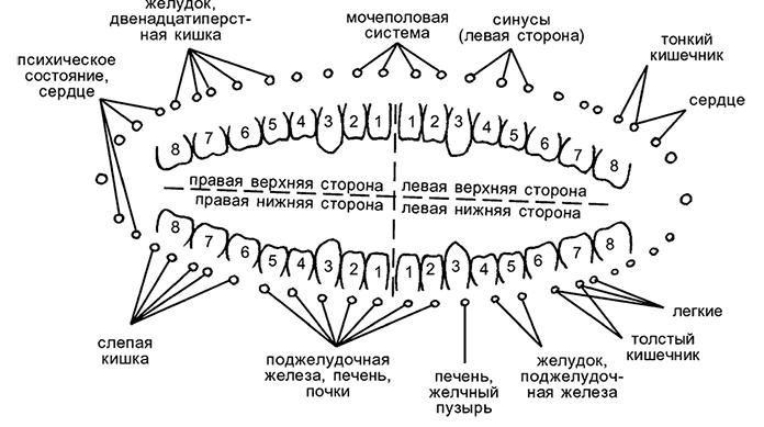 Целебная натуротерапия