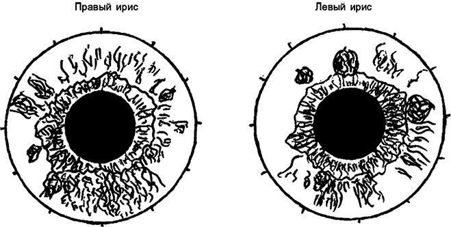 Целебная натуротерапия