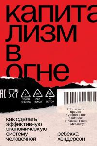 Книга « Капитализм в огне. Как сделать эффективную экономическую систему человечной » - читать онлайн