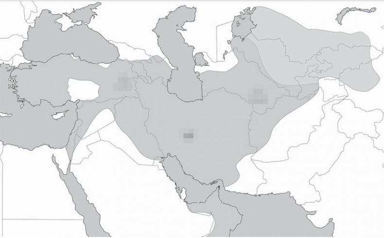 Турция. Полная история страны