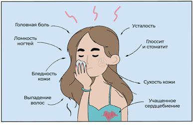 Пять литров красного. Что необходимо знать о крови, ее болезнях и лечении