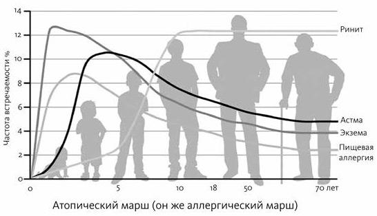 Аллергия, непереносимость, чувствительность. Как возникают нежелательные пищевые реакции и как их предотвратить