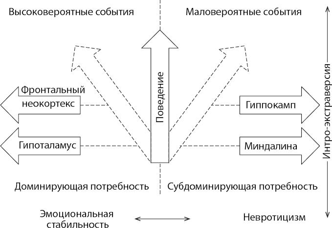 Мотивированный мозг. Высшая нервная деятельность и естественно-научные основы общей психологии