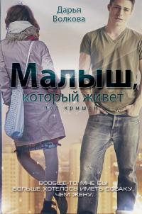 Книга « Малыш, который живет под крышей » - читать онлайн