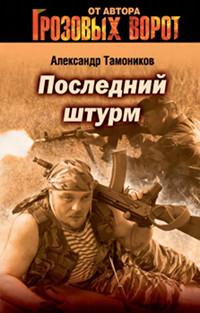 Книга « Последний штурм » - читать онлайн