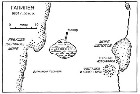 Источник