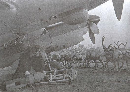 Асы над тундрой. Воздушная война в Заполярье. 1941-1944 годы