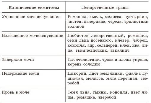 Болезни почек и мочевого пузыря. Полная энциклопедия. Диагностика, лечение, профилактика