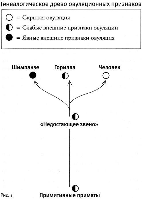 Почему нам так нравится секс