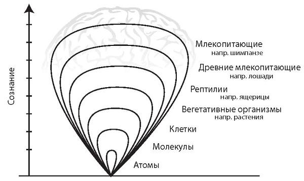 Интегральное видение. Краткое введение в революционный интегральный подход к жизни, Богу, вселенной и всему остальному