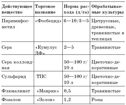 Луна и цветущий сад