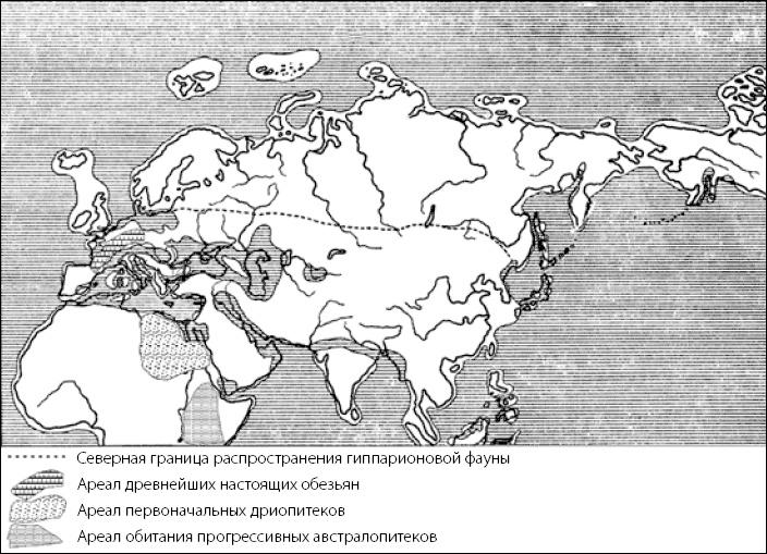 Разные человечества. Эволюция. Разум. Антропология