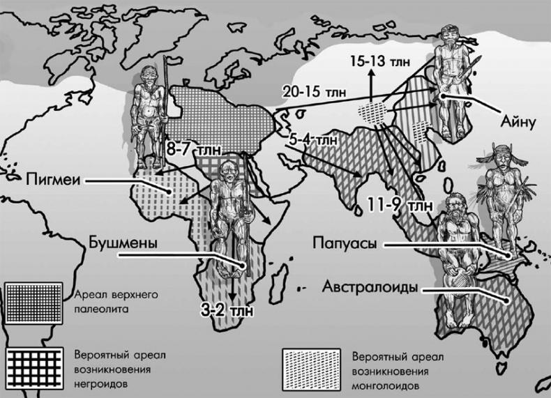 Разные человечества. Эволюция. Разум. Антропология