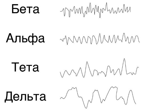 Тайны бессмертия