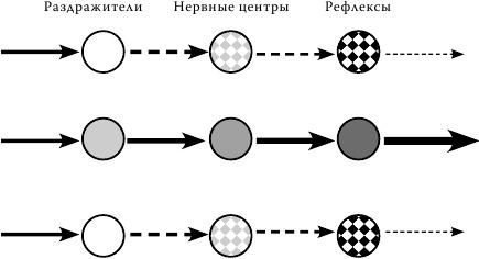 Методология мышления. Черновик