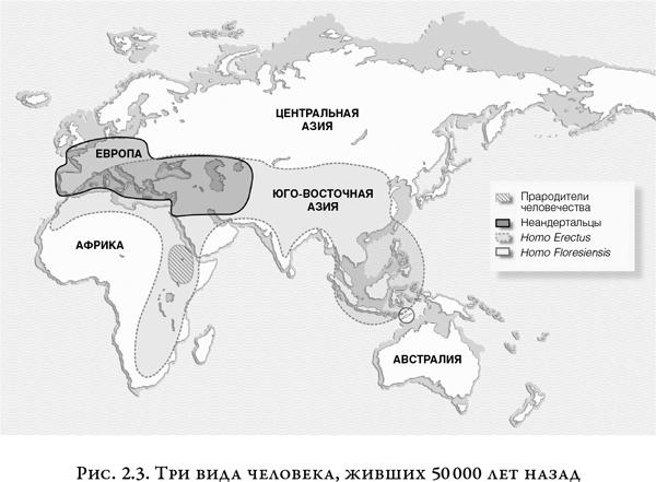 На заре человечества. Неизвестная история наших предков