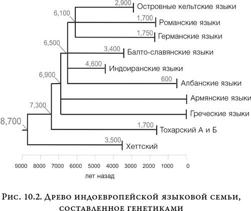 На заре человечества. Неизвестная история наших предков