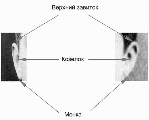 Сидней Рейли. Подлинная история «короля шпионов»