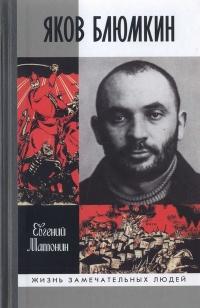 Книга « Яков Блюмкин. Ошибка резидента » - читать онлайн