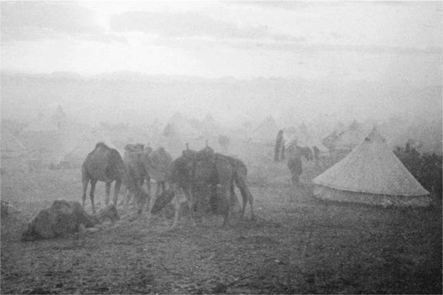 Падение Османской империи. Первая мировая война на Ближнем Востоке, 1914-1920