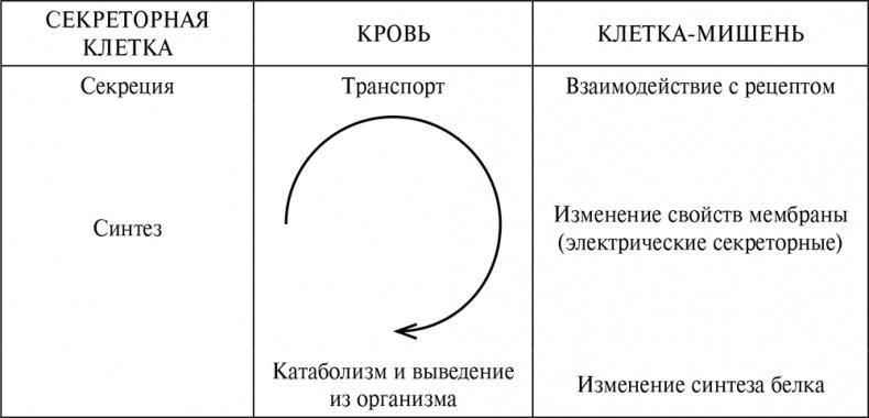 Стой, кто ведет? Биология поведения человека и других зверей