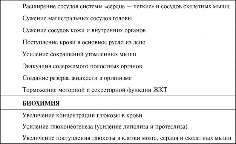 Стой, кто ведет? Биология поведения человека и других зверей