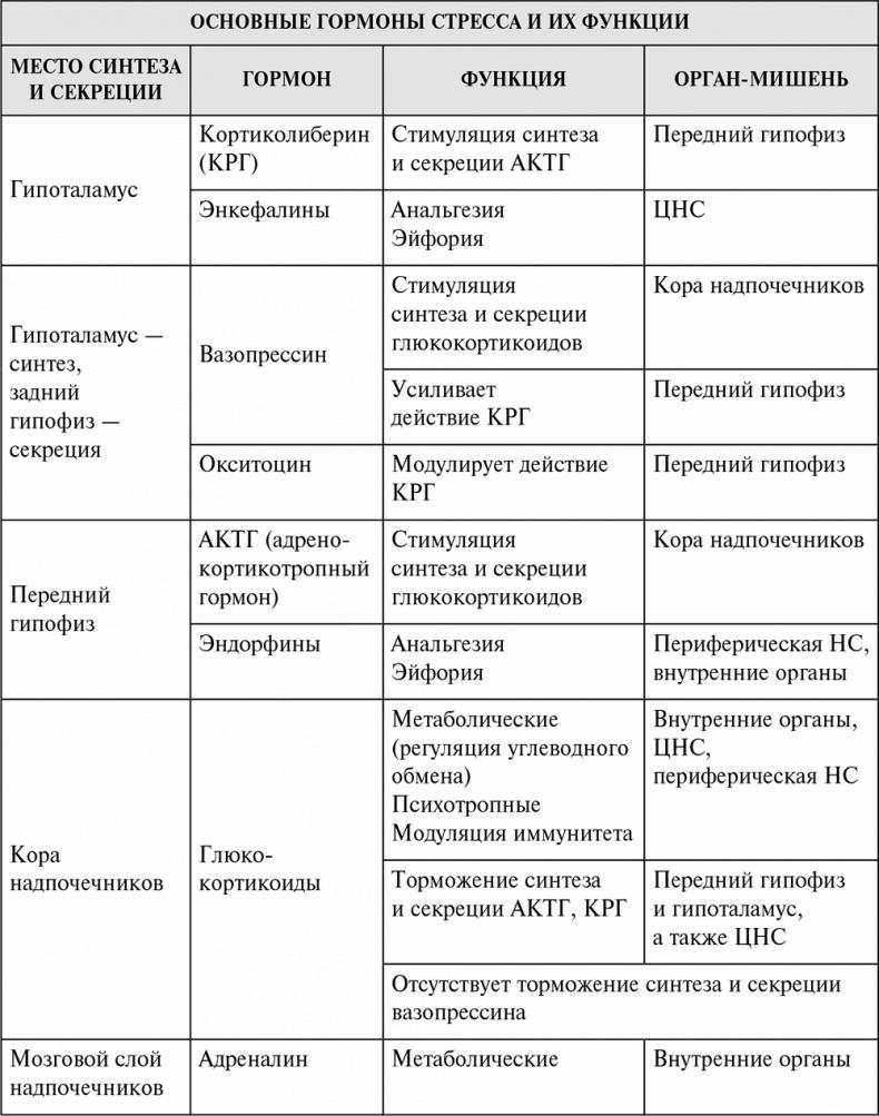 Стой, кто ведет? Биология поведения человека и других зверей