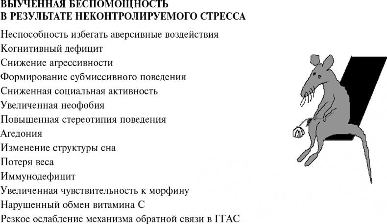 Стой, кто ведет? Биология поведения человека и других зверей