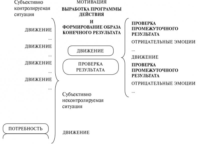 Стой, кто ведет? Биология поведения человека и других зверей