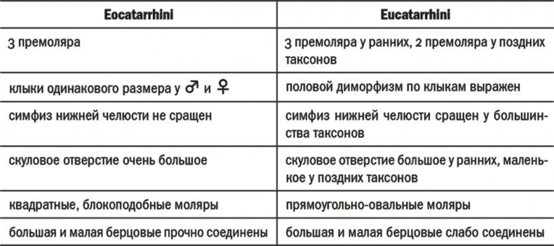 Достающее звено. Книга 2. Люди