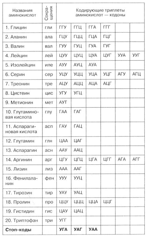 Биология: Обмен веществ и энергии в клетках организма