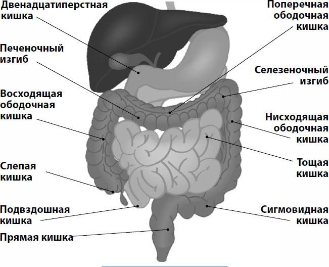 Пора лечиться правильно. Медицинская энциклопедия