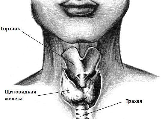 Пора лечиться правильно. Медицинская энциклопедия