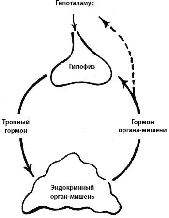 Пора лечиться правильно. Медицинская энциклопедия