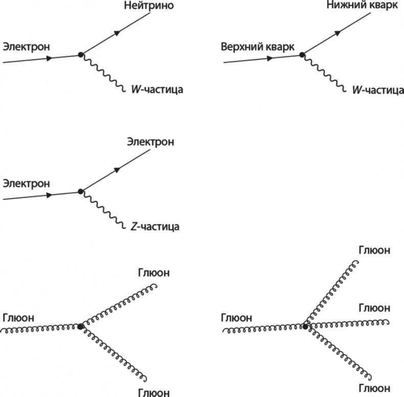 Вселенная. Курс выживания среди черных дыр, временных парадоксов, квантовой неопределенности