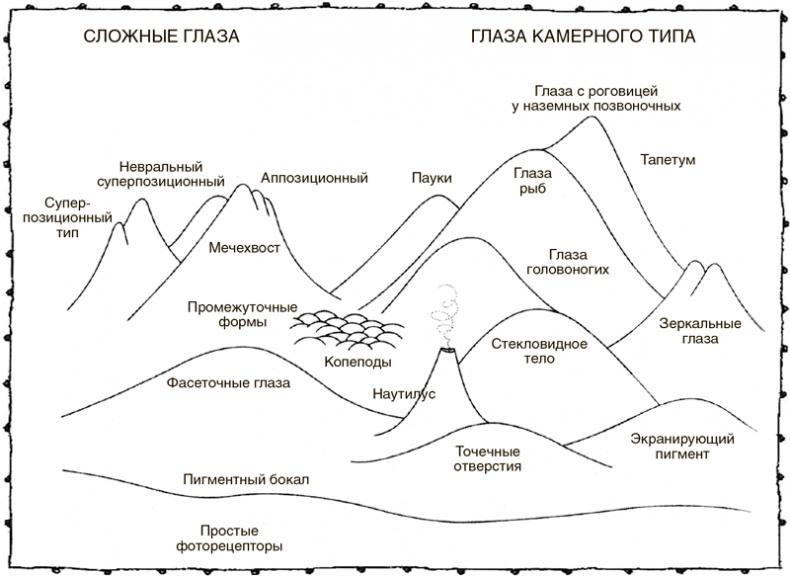 Книга о самых невообразимых животных. Бестиарий XXI века