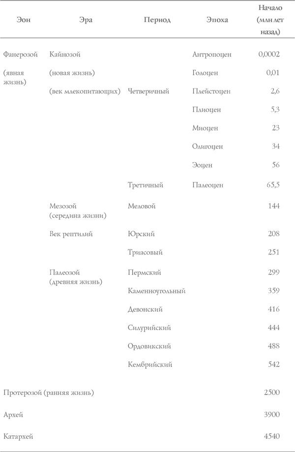 Книга о самых невообразимых животных. Бестиарий XXI века