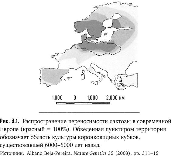 Неудобное наследство. Гены, расы и история человечества