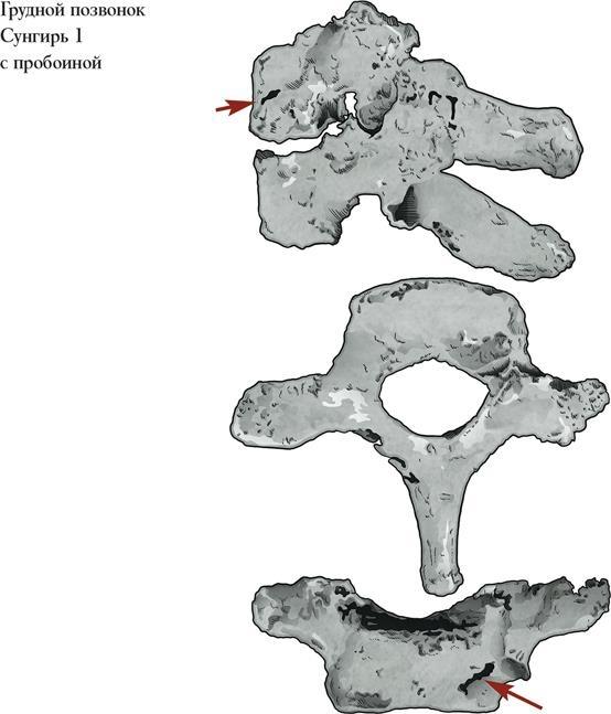 Байки из грота. 50 историй из жизни древних людей