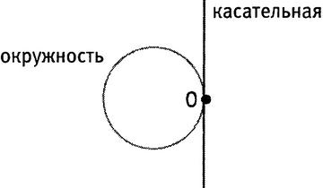 Истина и красота. Всемирная история симметрии