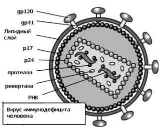 Имя ему СПИД. Четвертый всадник Апокалипсиса