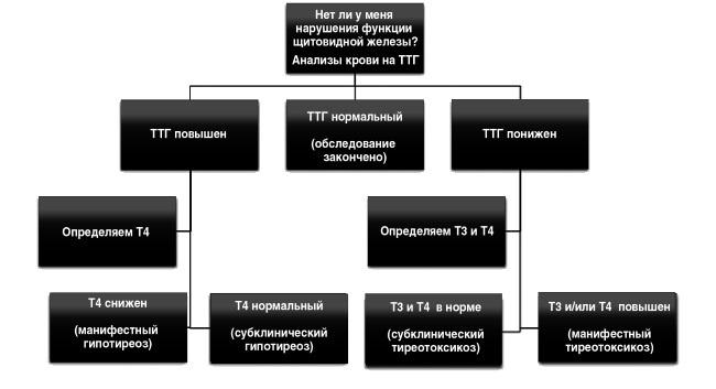 Полный курс медицинской грамотности