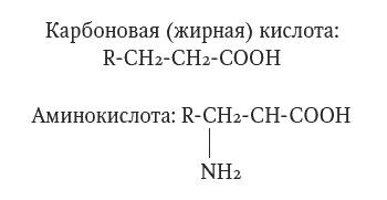 Мир, созданный химиками. От философского камня до графена