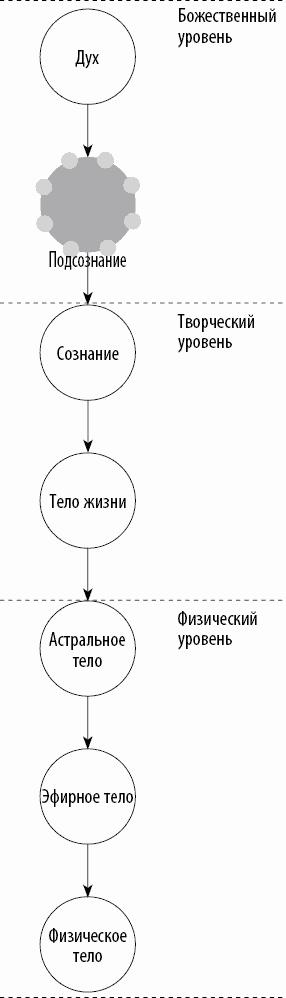 Вертикальная воля