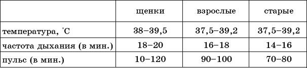 Cобака. Полное руководство по дрессировке и уходу