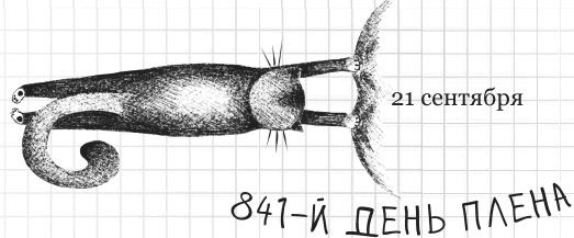 Дневник дебильного кота 2. Банда Эдгара