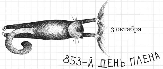 Дневник дебильного кота 2. Банда Эдгара