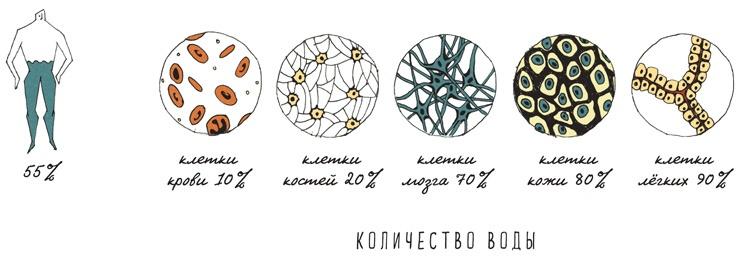 Может ли жираф облизать свои уши?