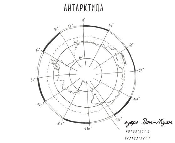 Может ли жираф облизать свои уши?